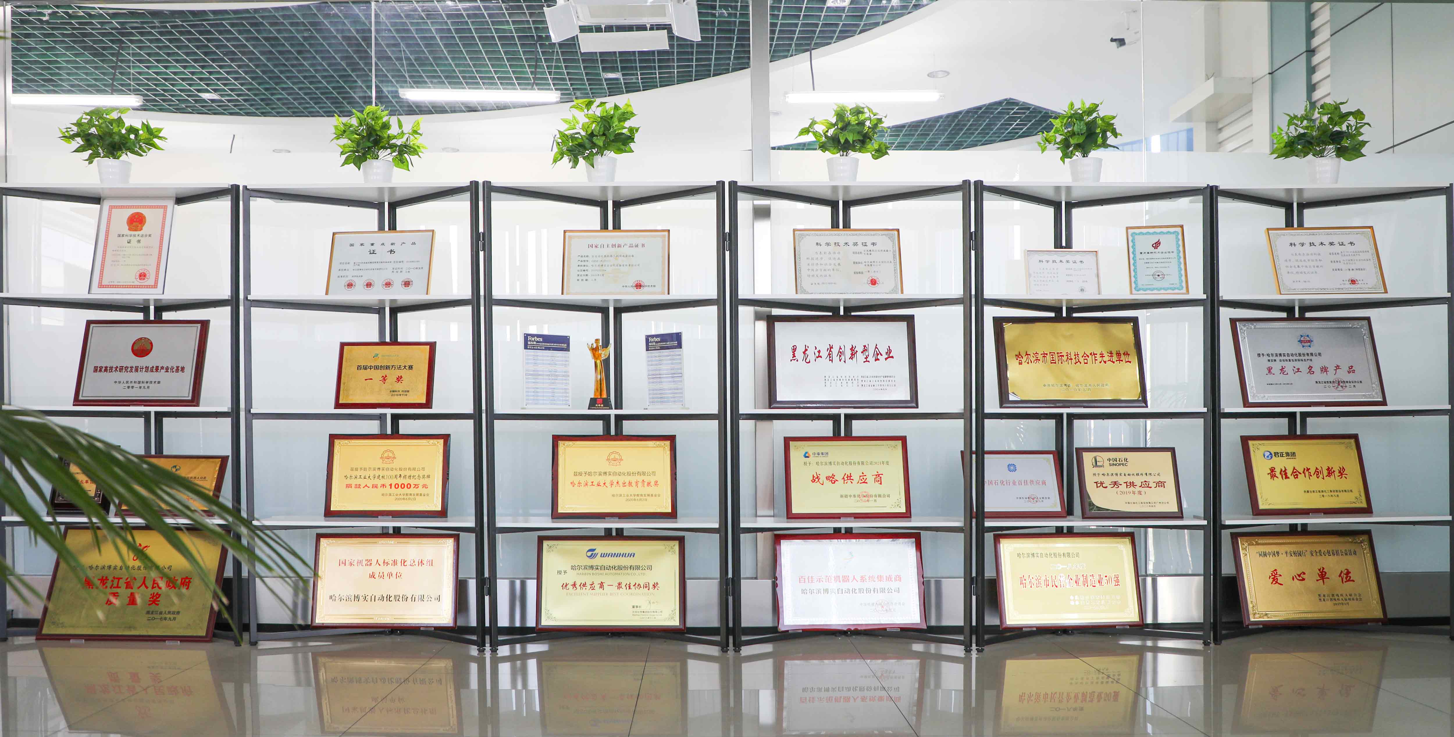 650b2d8f-e8f1-47e8-8b68-ad0b48f01c5c