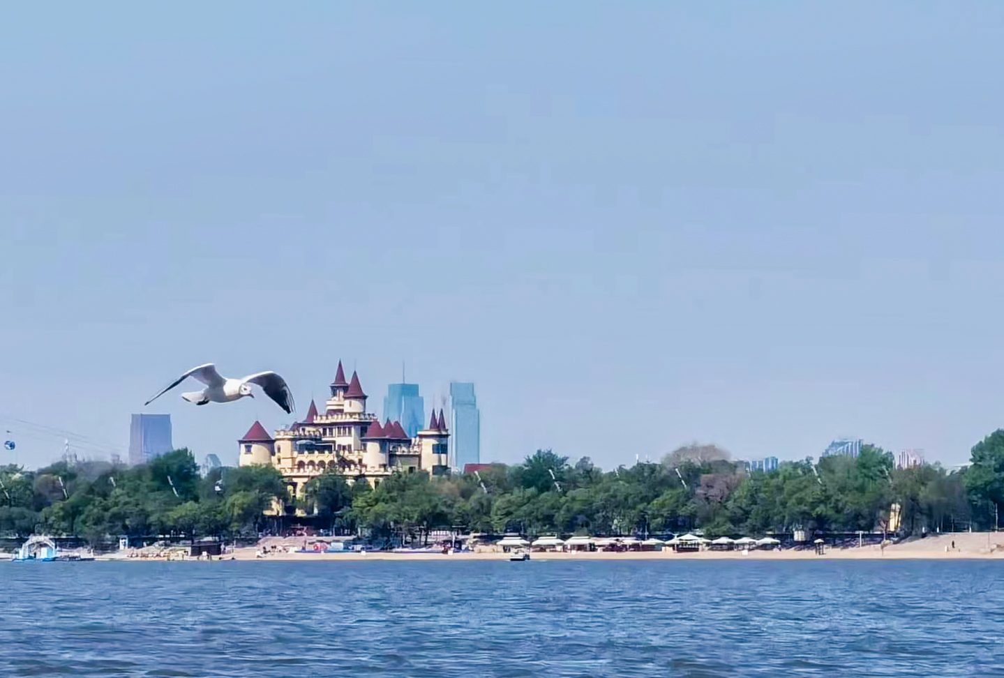 d3187bcd-a00b-4d7a-88fd-5b10c05f26c6